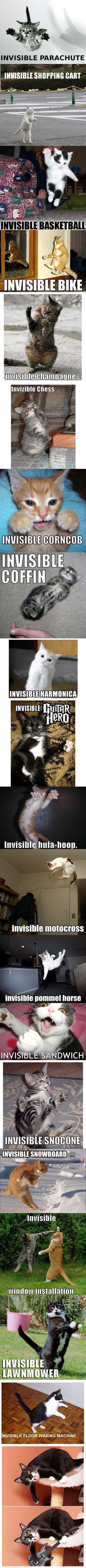 Invisible Kitty Compendium